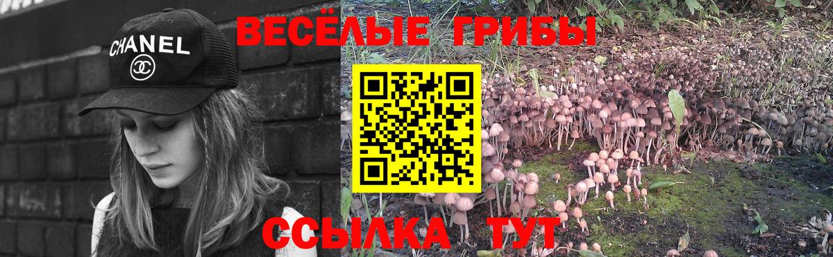 Псилоцибиновые грибы Cubensis  Вход с VPN  Скопин  наркота  Галлюциногенные грибы мухоморы 